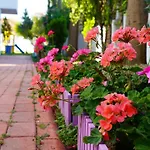 Irem Garden & 3*