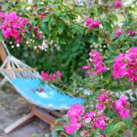 Irem Garden & شقة فندقية