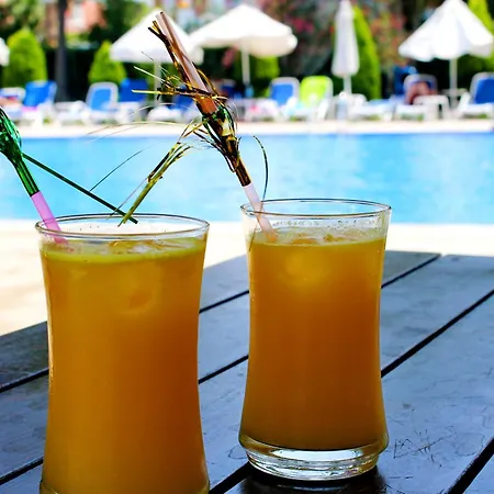 Irem Garden & 锡德