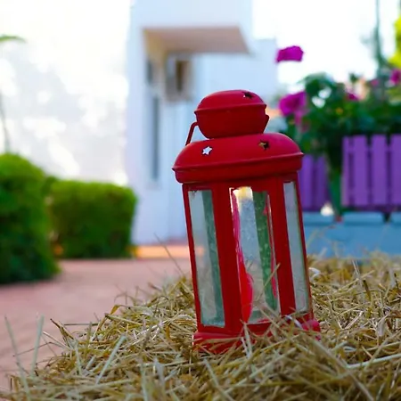 公寓式酒店 Irem Garden &