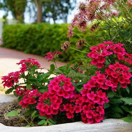 Irem Garden & 3*