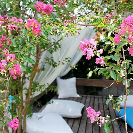 Irem Garden & Aparthotel