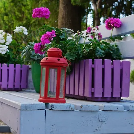 Hotel de apartamente Irem Garden & 2*